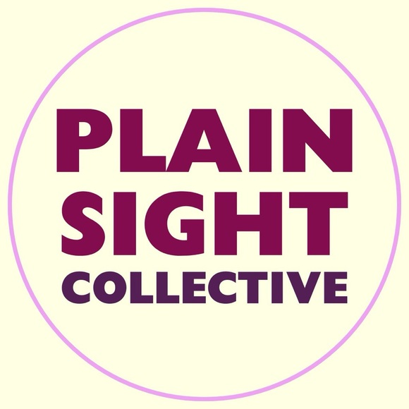 plain_sight_co